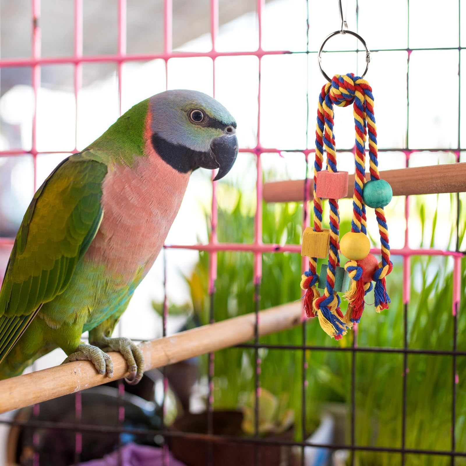 Skyygemm 2 Stück Vogel-Kauspielzeug Aus Holz – Mit Korkstopfen Für Papageien, Sittiche, Wellensittiche