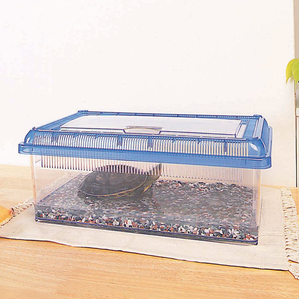 Amazon | アイリスオーヤマ クリアビュー飼育ケース浅型 CC-430L