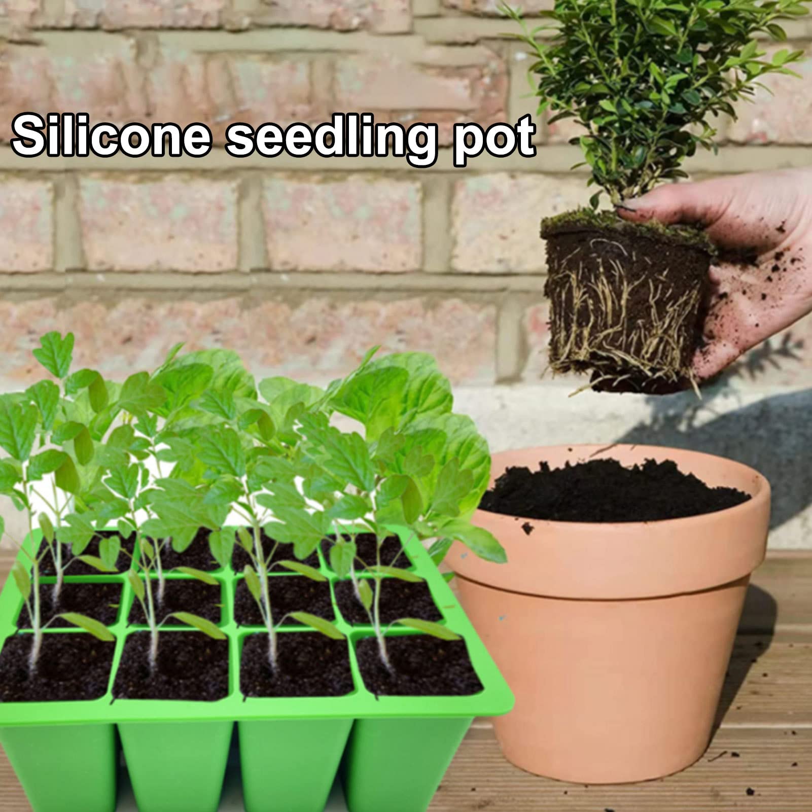 Zaailingenblad Turfpotten, Tuin Fruit Groenten Zaailing Potten Zaadbakken Oppotbak, 10 Sets Net Cup Pot Hydroponic Kwekerijblokken Teelt Bodemblok for Plant Zaailing Transplantatie (Maat: D70) (Color