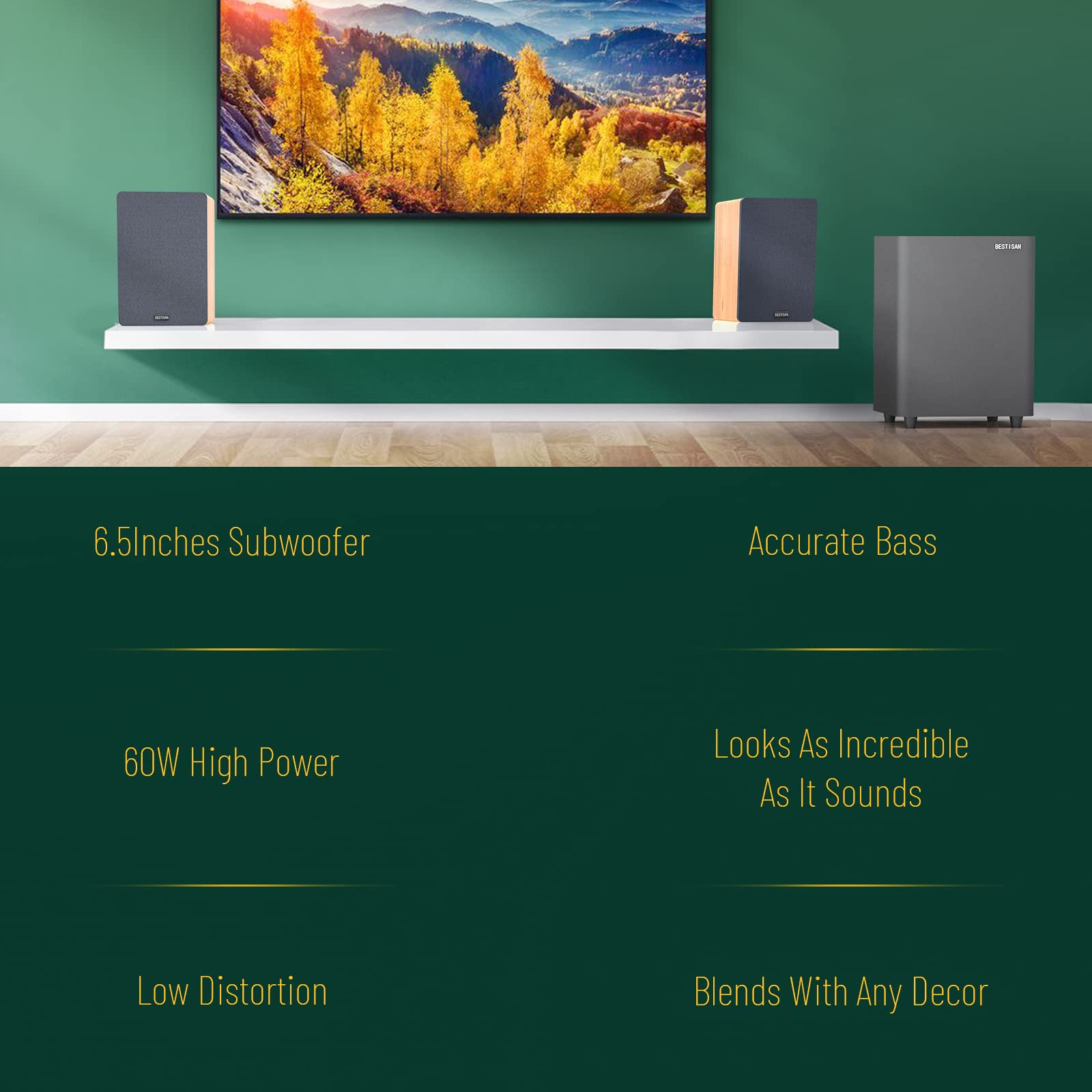 Buy BESTISAN 60Watts Powered Subwoofer, Bestisan Home Audio Subwoofers