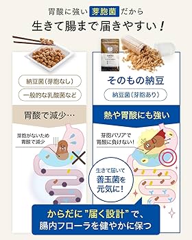 Amazon | そのもの納豆 【生きて腸まで届く納豆菌】 完全無添加