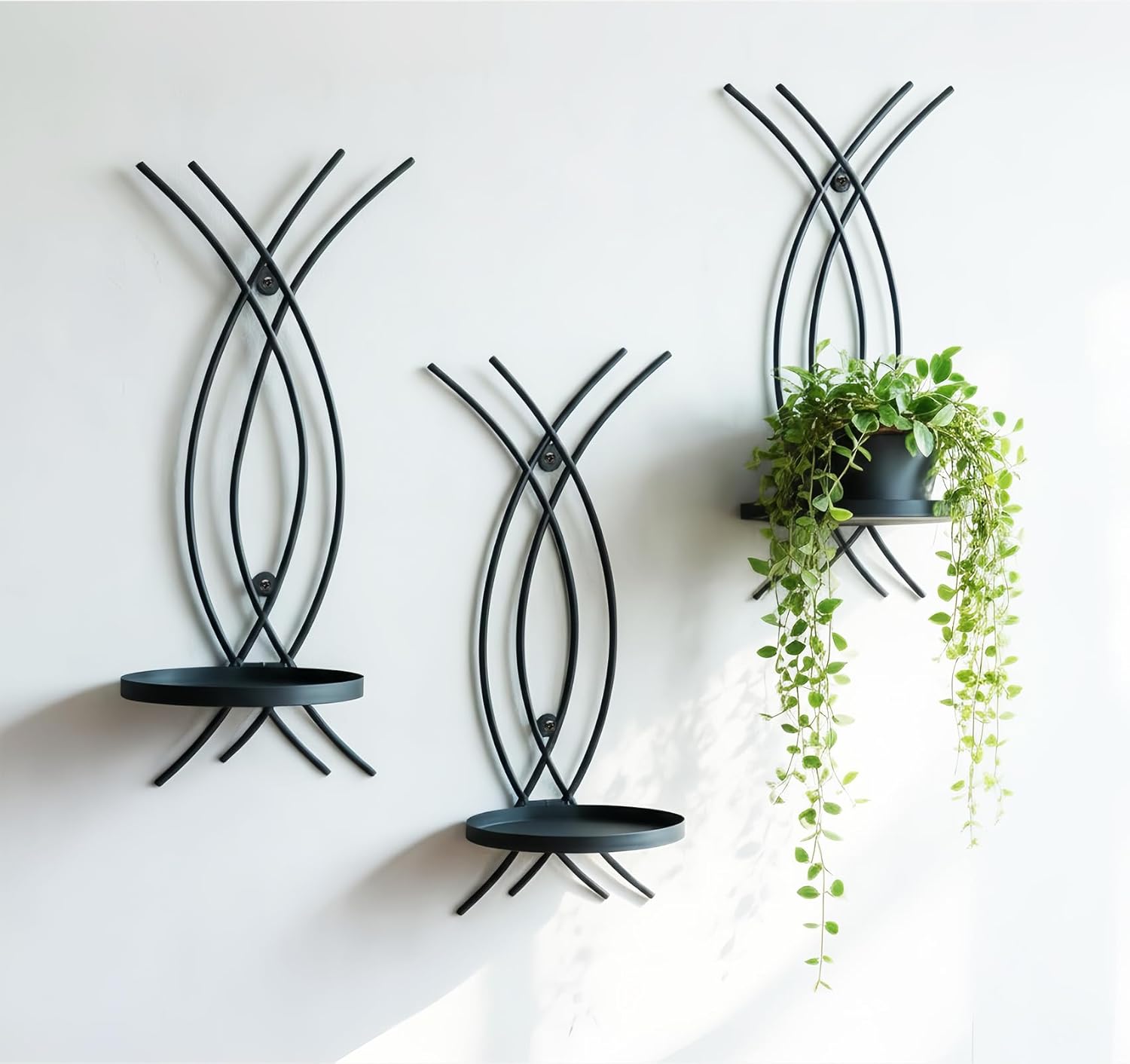 Plant Decor Black 3pcs, Wall Plant Holder, Hanging Planters for Indoor Plants (Arc Shape)