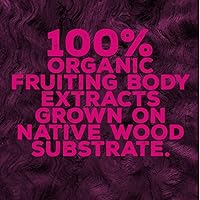 Vista 4 de OMFG - Gomitas de suplemento de hongos para inmunidad – Gomitas funcionales de hongos nootrópicos con complejo inmunológico, zinc, D3 para un apoyo