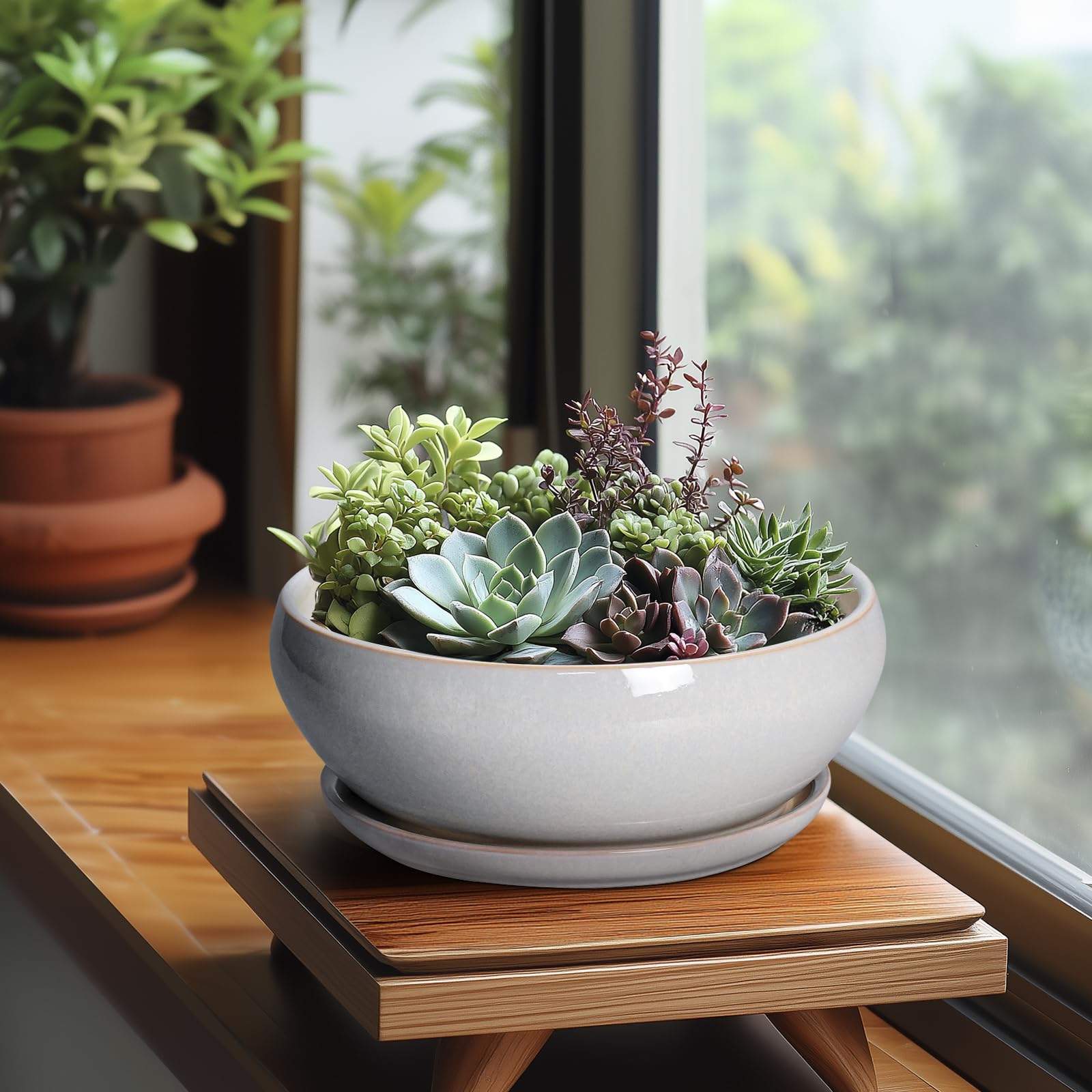 SQOWL Bonsai-Baumtöpfe – 20,3 cm Keramik-Blumentöpfe für Sukkulenten, Flacher Übertopf mit Ablaufloch und Untersetzer, runder Übertopf für drinnen und draußen, Schalen-Pflanzgefäße, Heimdekoration