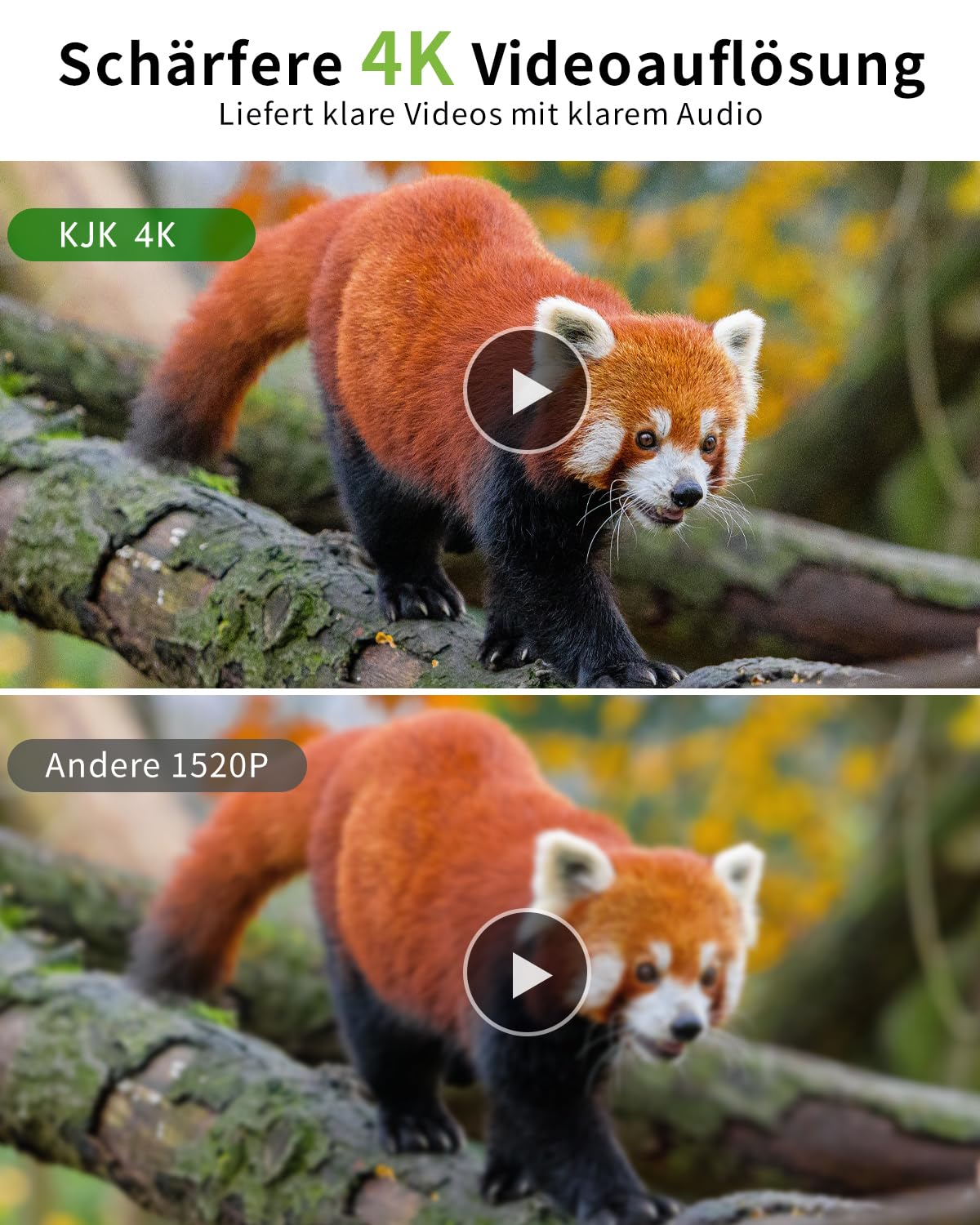 KJK 4K 64MP Wildkamera mit 64GB Speicherkarte, Wildtierkamera mit Nachtsicht, 0.05s Auslöser Bewegungsaktiviert, IP67 Wasserdicht 130° Weitwinkel 45 Stücks Infrarot-LEDs Schimmer Wildkamera