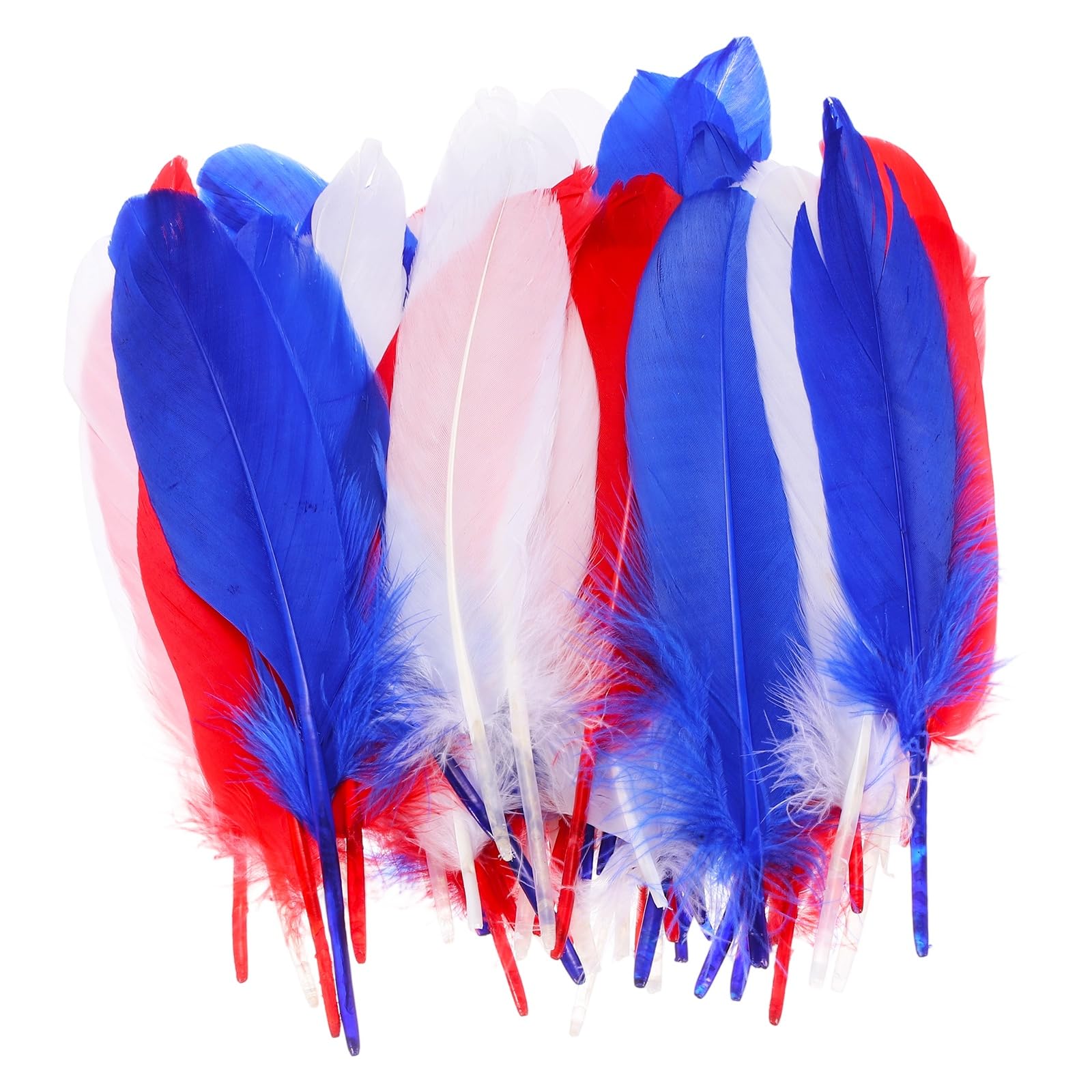 PATIKIL 6-8 Inch(15-20 Cm) Feathers