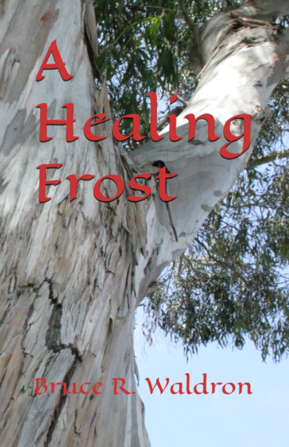 A Healing Frost