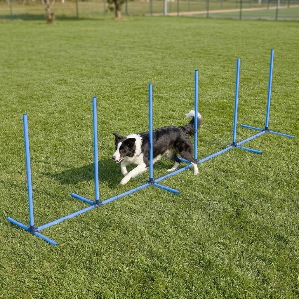 ドッグアジリティ　練習用スラロームキット Amazon | Bonarca 犬 ドッグ アジリティ スラローム 運動 室内