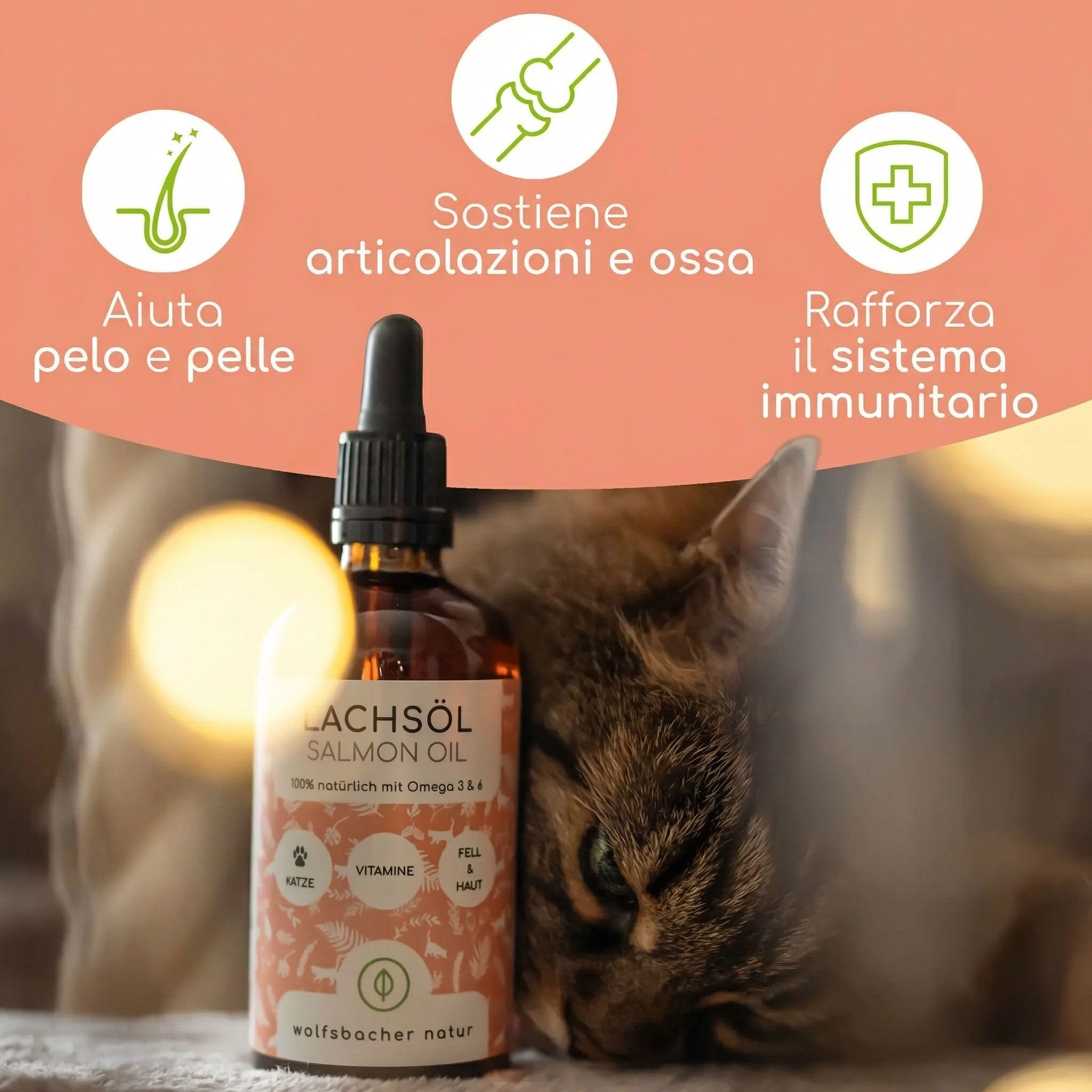 Olio di Salmone per Gatti con Omega 3 & 6 | 100ml Olio di Salmone Norvegese Naturale dall'Atlantico | Integratore Altamente Dosato per Gatti