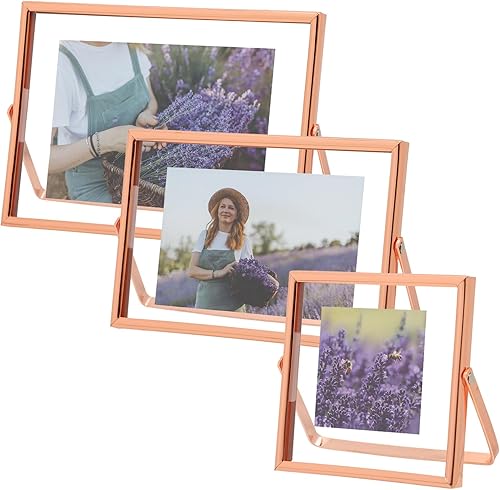 Fixwal Marcos de fotos dorados flotantes, juego de 3, marco de exhibición de metal dorado rosa, marco de fotos de vidrio templado para exhibición de