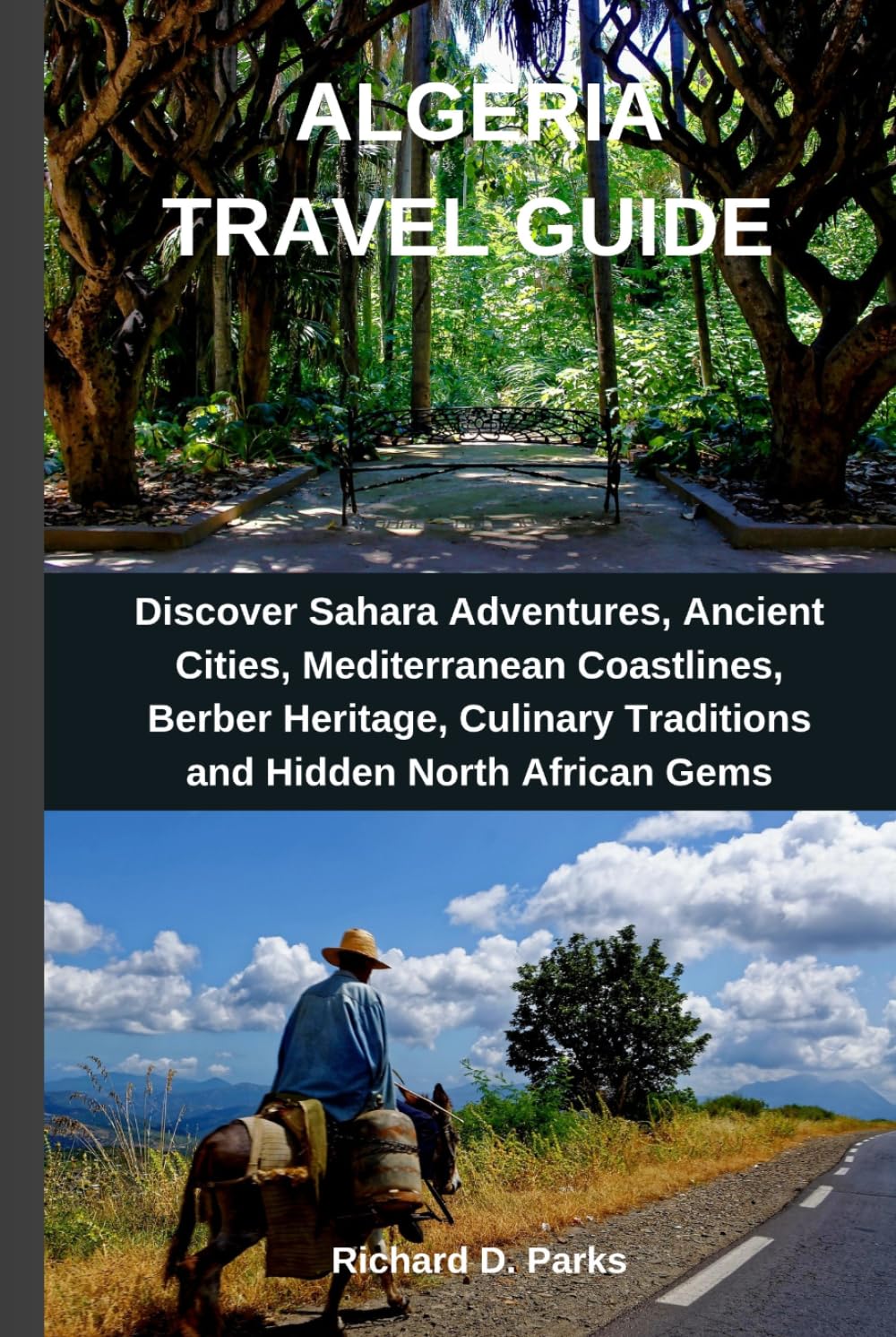 ALGERIA TRAVEL GUIDE: Discover Sahara Adventures, Ancient Cities, Mediterranean Coastlines, Berber Heritage, Culinary Traditions and Hidden North African Gems