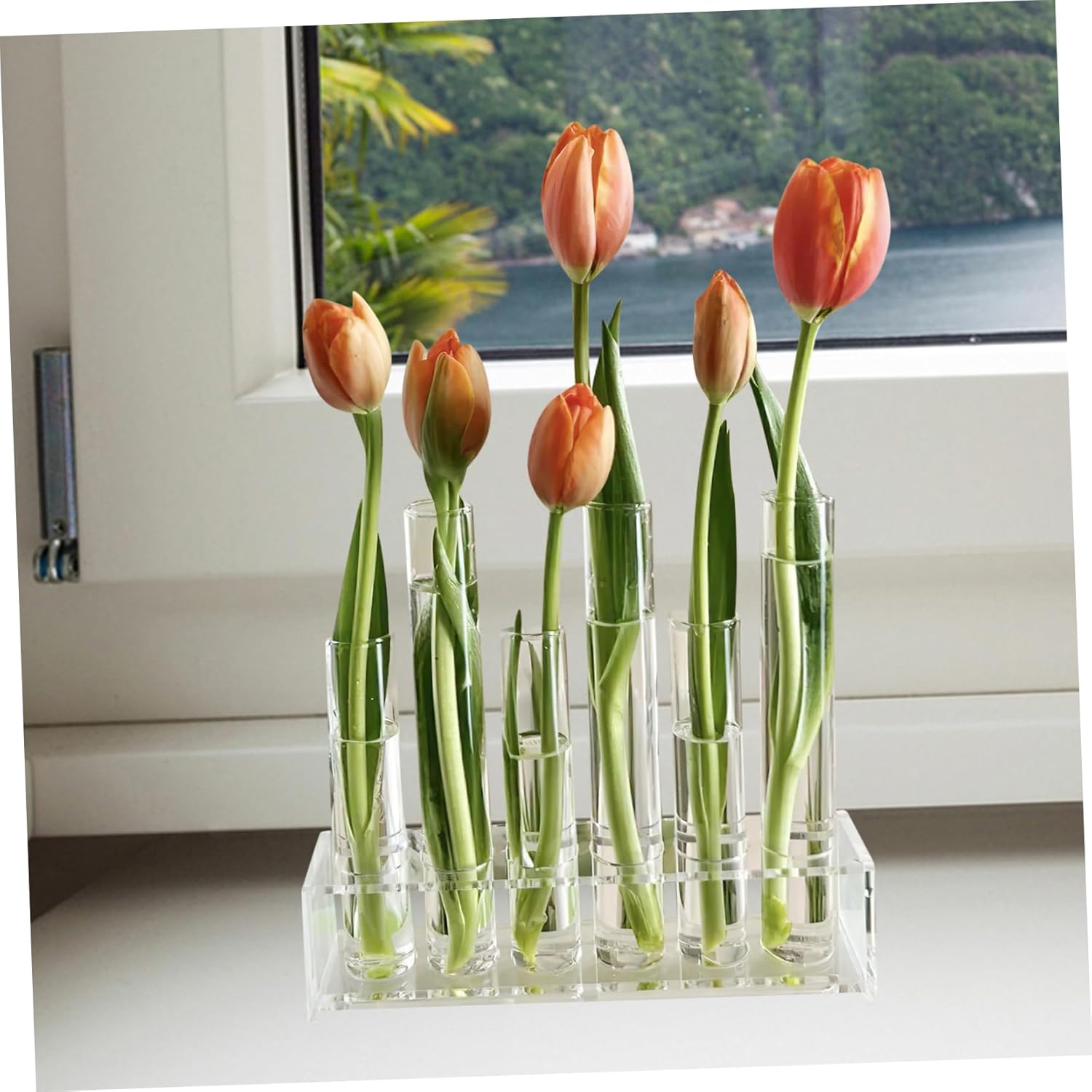 1 Set Hydroponic Glass Tube Vase Transparent Plant Terrarium for Home Decor Floral Water Tubes for Desktop Shelf Stylish Plant Display