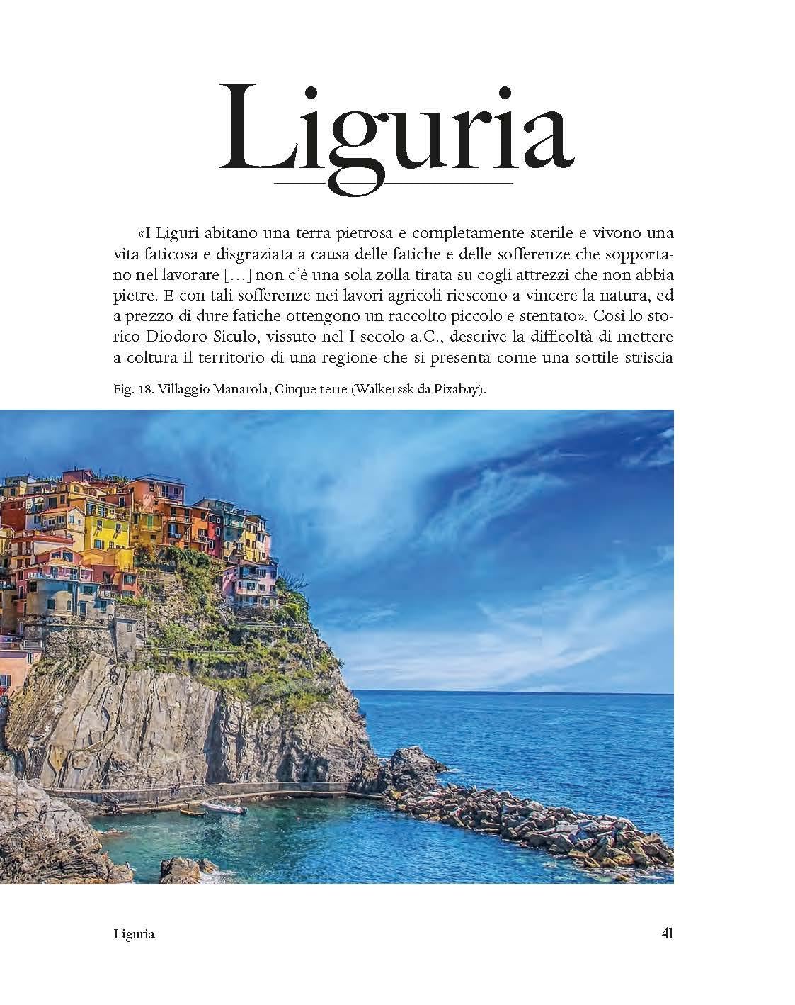 Il viaggio degli agrumi in Italia. Percorsi e curiosità di cultivar regionali. Con una parte sulla cura degli agrumi in vaso. Ediz. a colori