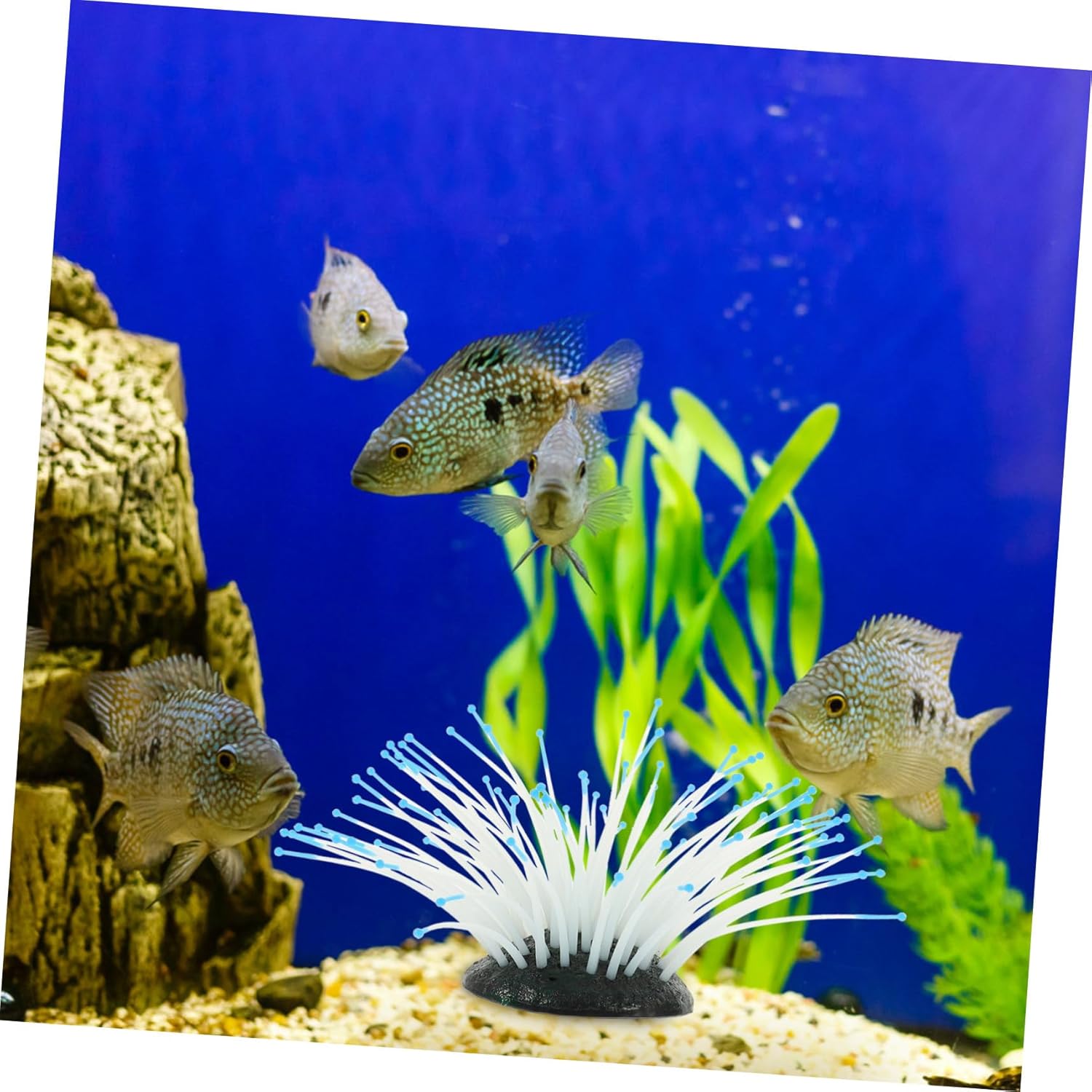 3pcs Artificial Coral Small Aquarium Kit Aquarium Plant Coral Statue Fish Feeder Fish Landscaping Coastal Statue Coral Model Blue Coral Aquarium Coral Ornament