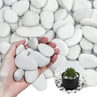 10Ib Pearl White River Rocks for Landscaping-Polished Pebbles for Plants-Garden Decorative Stones-1-1.5" Plant Rocks,Ideal for Aquarium, Home Decor,Terrarium