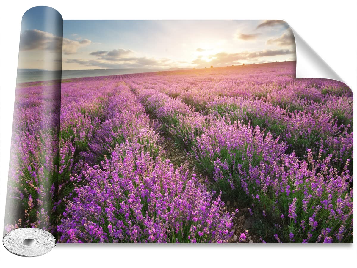 Papier Peint Intissé Prairie lavande Décoration Murale Autocollante Chambre Tulup 208x146