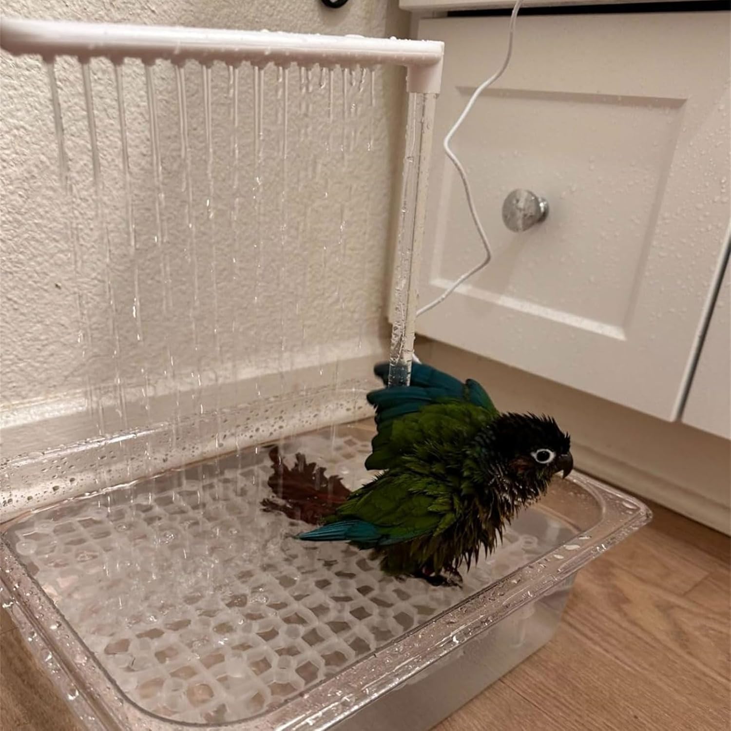 Parrots Bathing Tub Auto Pumping Bird Fountain Adjustable Flowing for Bird Pet Circulating Fountain