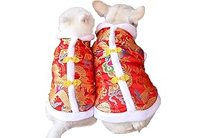 Chinese Dragon: Your Furry Warrior in A Traditional Tunic