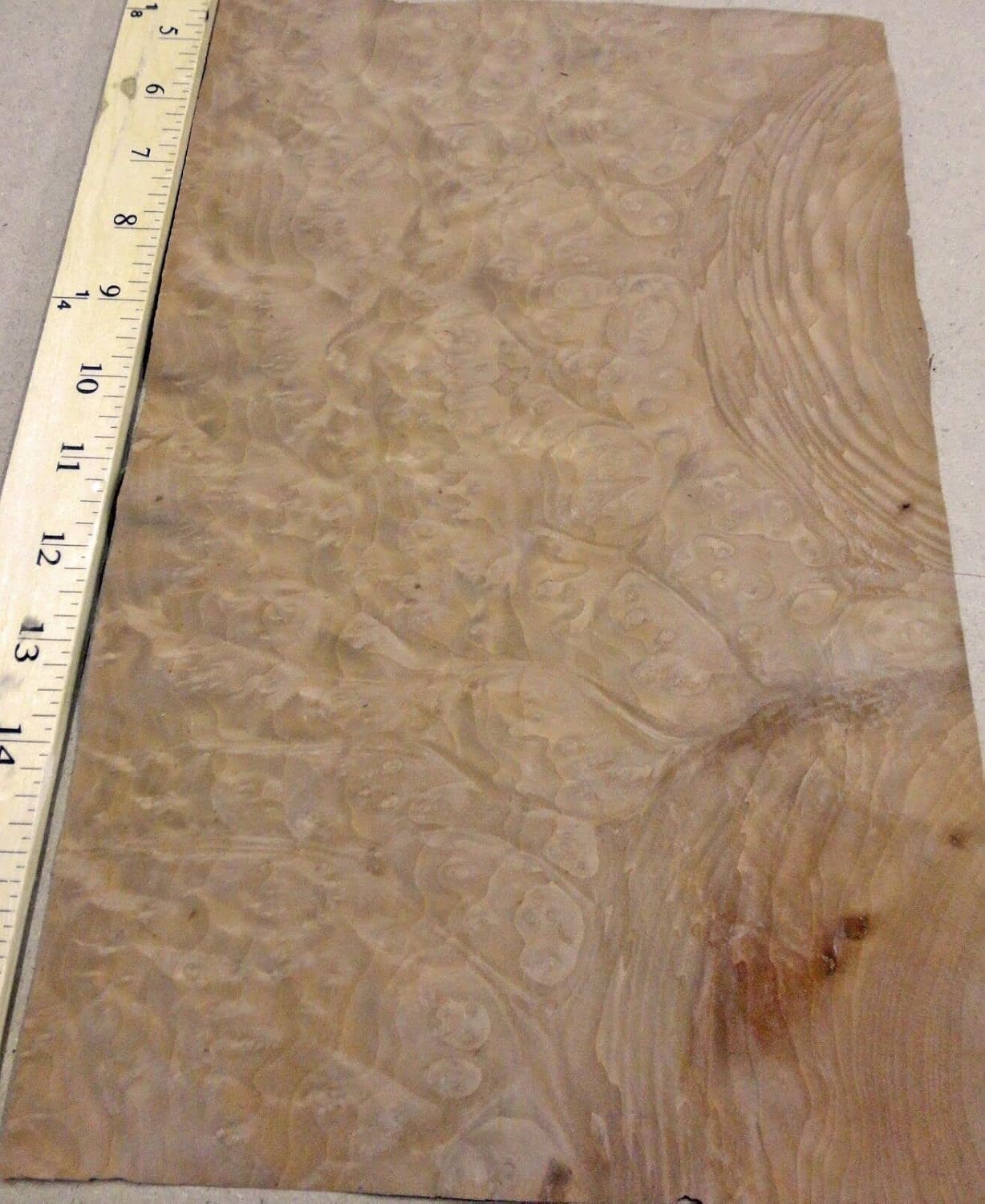 Madrone Burl Wood Veneer 9" x 13" raw no Backing 1/42" Thickness AA Grade
