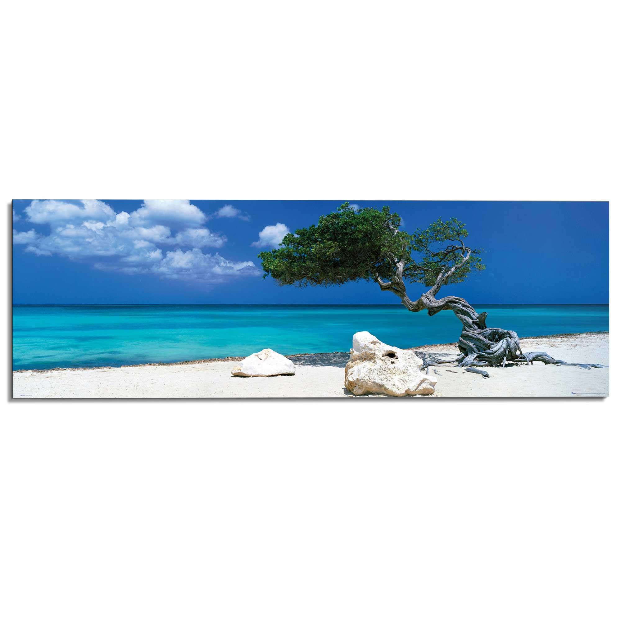 REINDERS Wandbild Divi Divi Baum – Blau, 52 × 156 cm