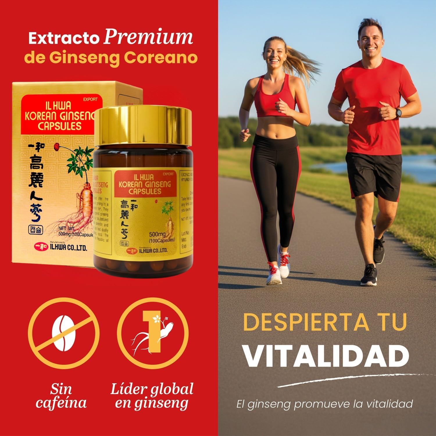 Ginseng Coreano Puro, Calidad Ilhwa, 500 mg, 100 cápsulas | Panax Ginseng 100% Sin aditivos | Energía Física y Mental | Raíces Maduras de Cultivo Propio y Extracción Exclusiva | de TONGIL