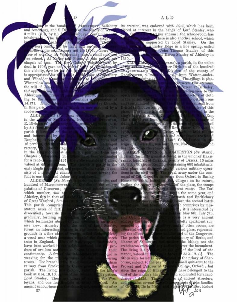 Black Labrador With Blue Fascinator Poster Print - Funky Fab (24 x 36)