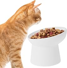 Ceramic Elevated Cat Bowls, Raised and Tilted Pet Feeding Bowls, Extra Wide Cat Bowl for Food and Water, Anti Vomiting and Protect Pets' Spines Cats Dishes for Small Dog, Kitten