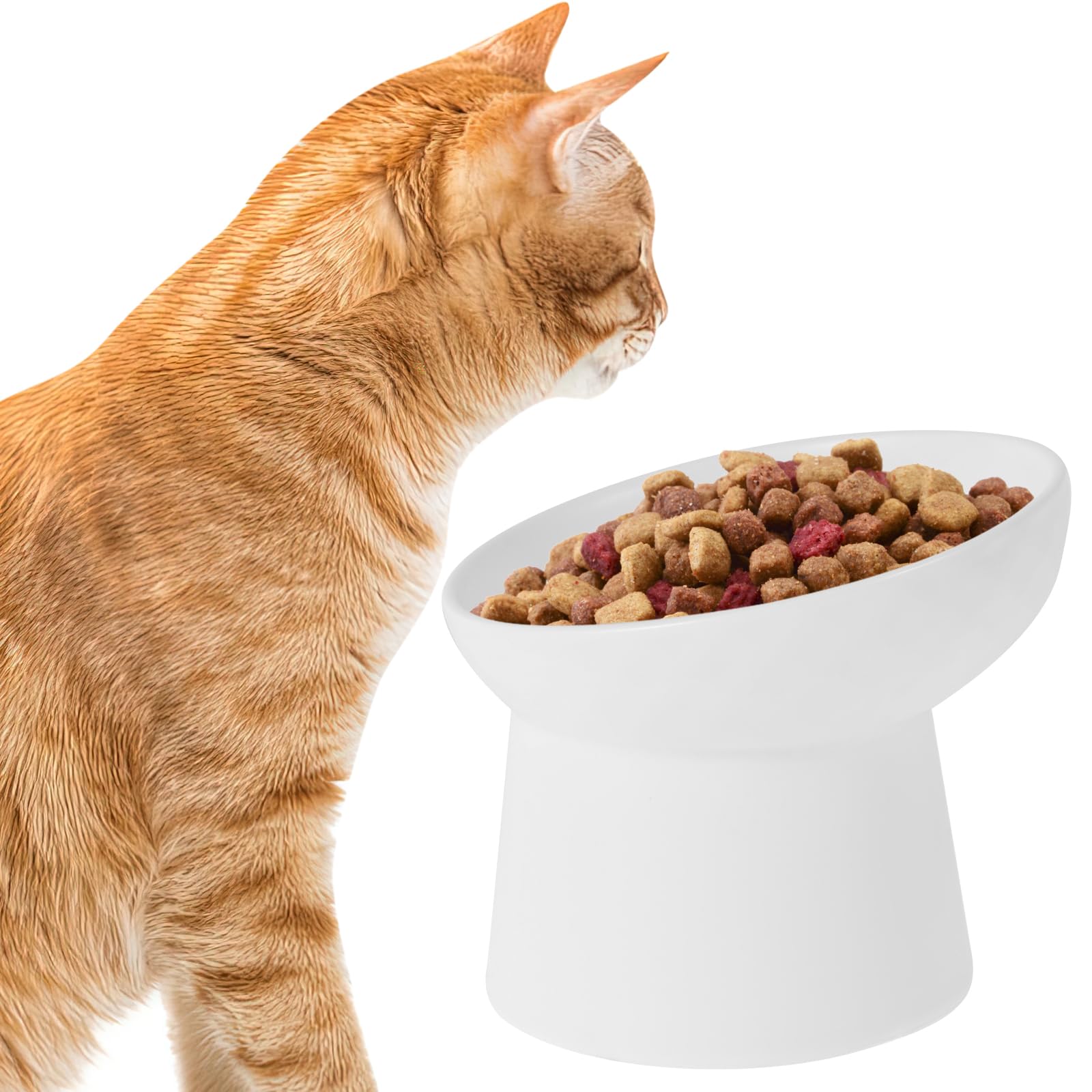 Ceramic Elevated Cat Bowls, Raised and Tilted Pet Feeding Bowls, Extra Wide Cat Bowl for Food and Water, Anti Vomiting and Protect Pets' Spines Cats Dishes for Small Dog, Kitten