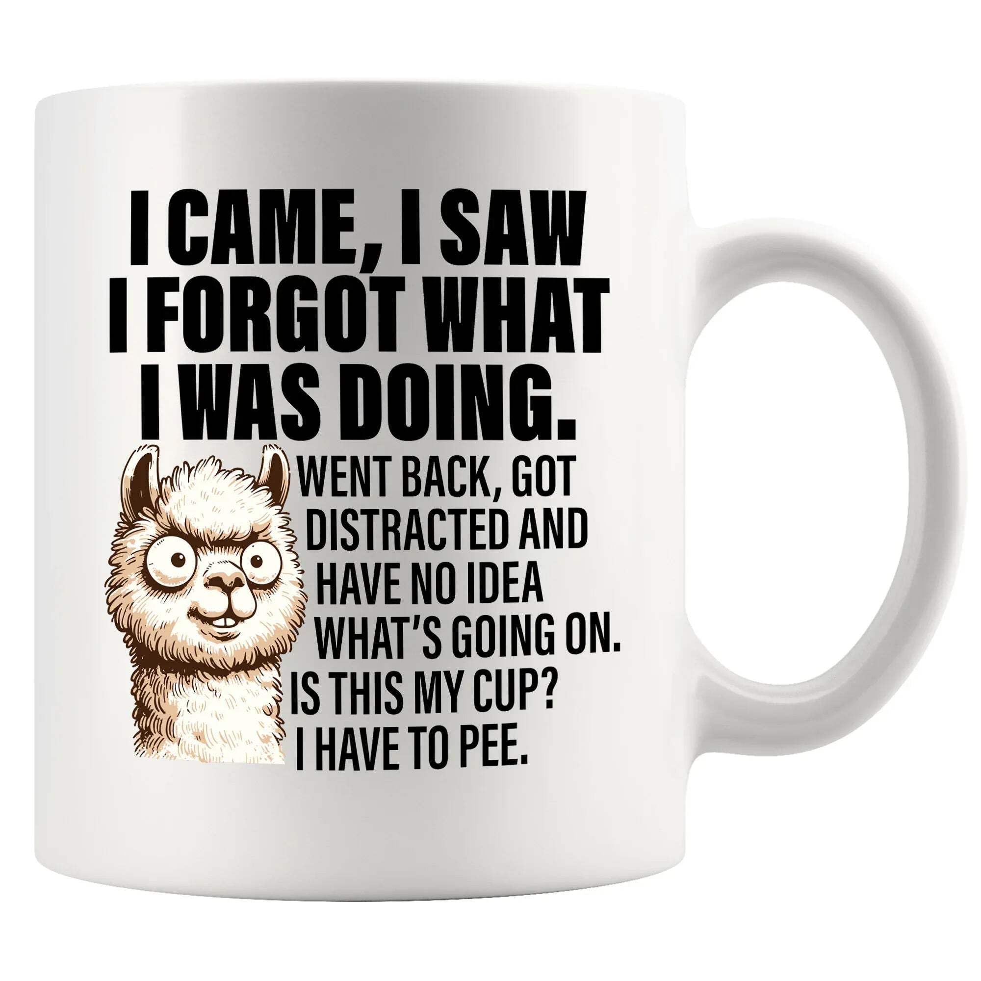 Panvola I Came I Saw I Forgot What I was Doing Old People Elderly Gifts Women Mom Men Grandpa Grandma 70th 80th 90th Birthday Senior Citizen Gifts People with Dementia Ceramic Mug (White, 11 oz) — image 1