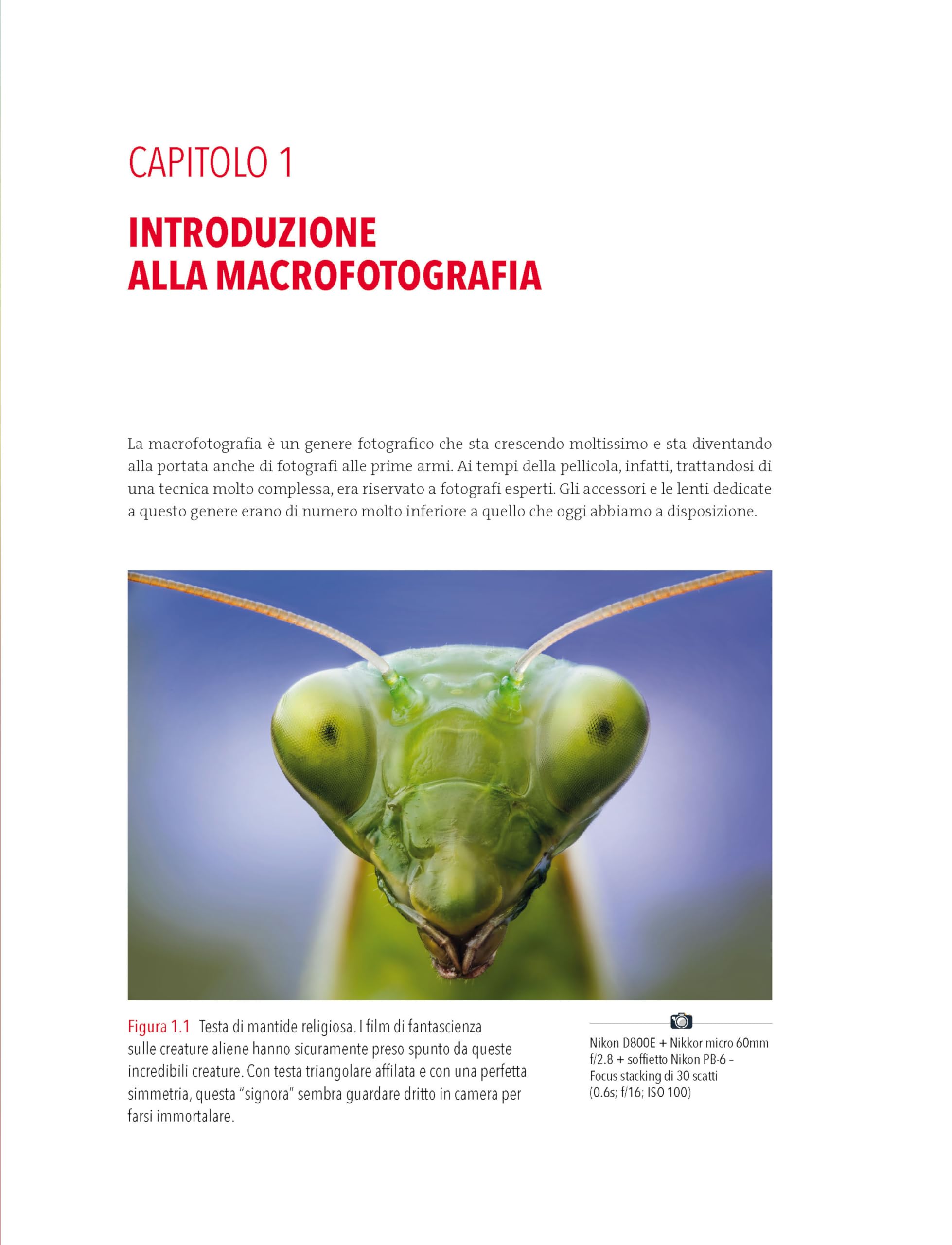 Macrofotografia. Strumenti e tecniche per catturare i dettagli del mondo