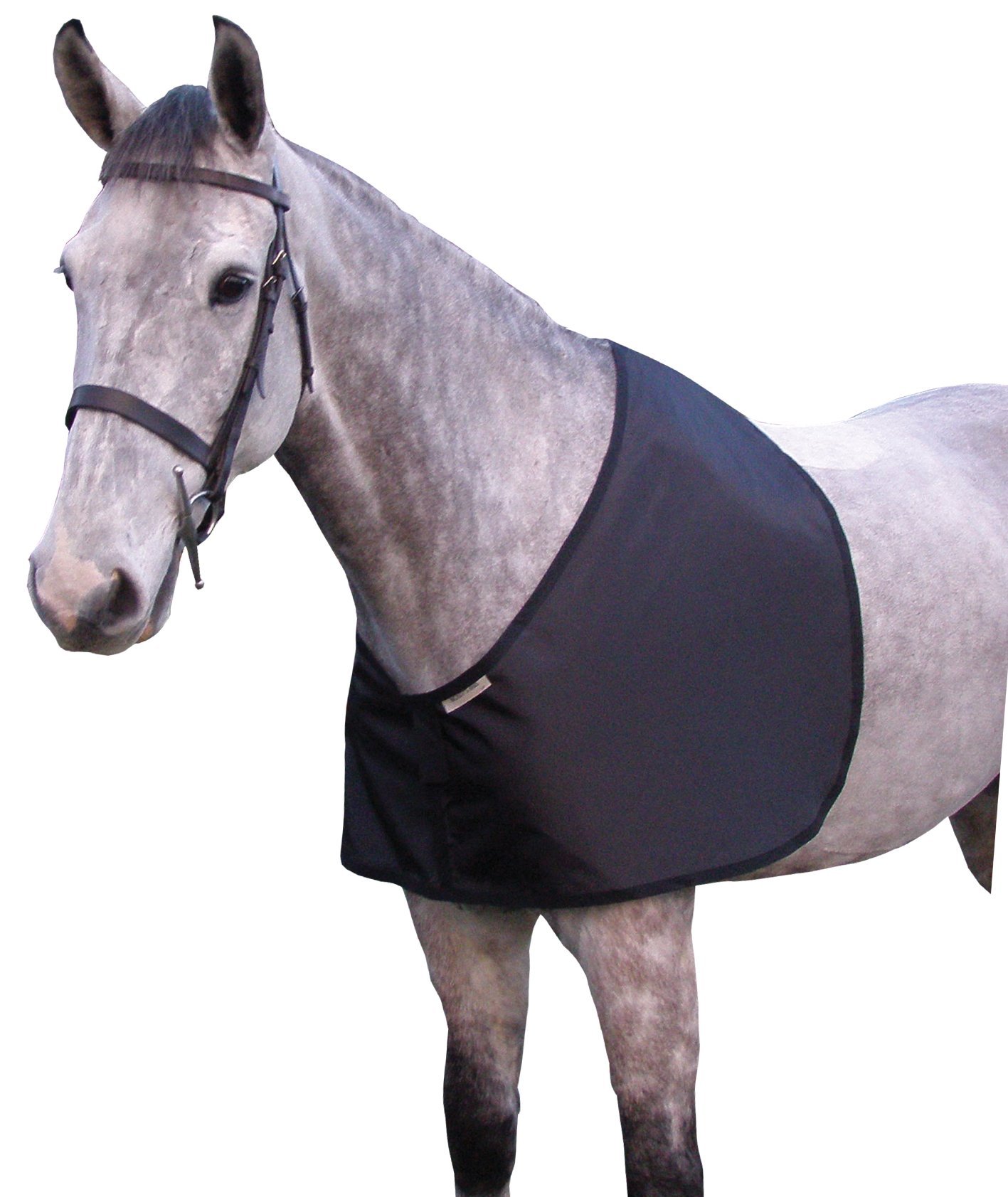 Bossy's BibsAnti Rug Rub Bib (Small Full 14.2-15.1, Navy)