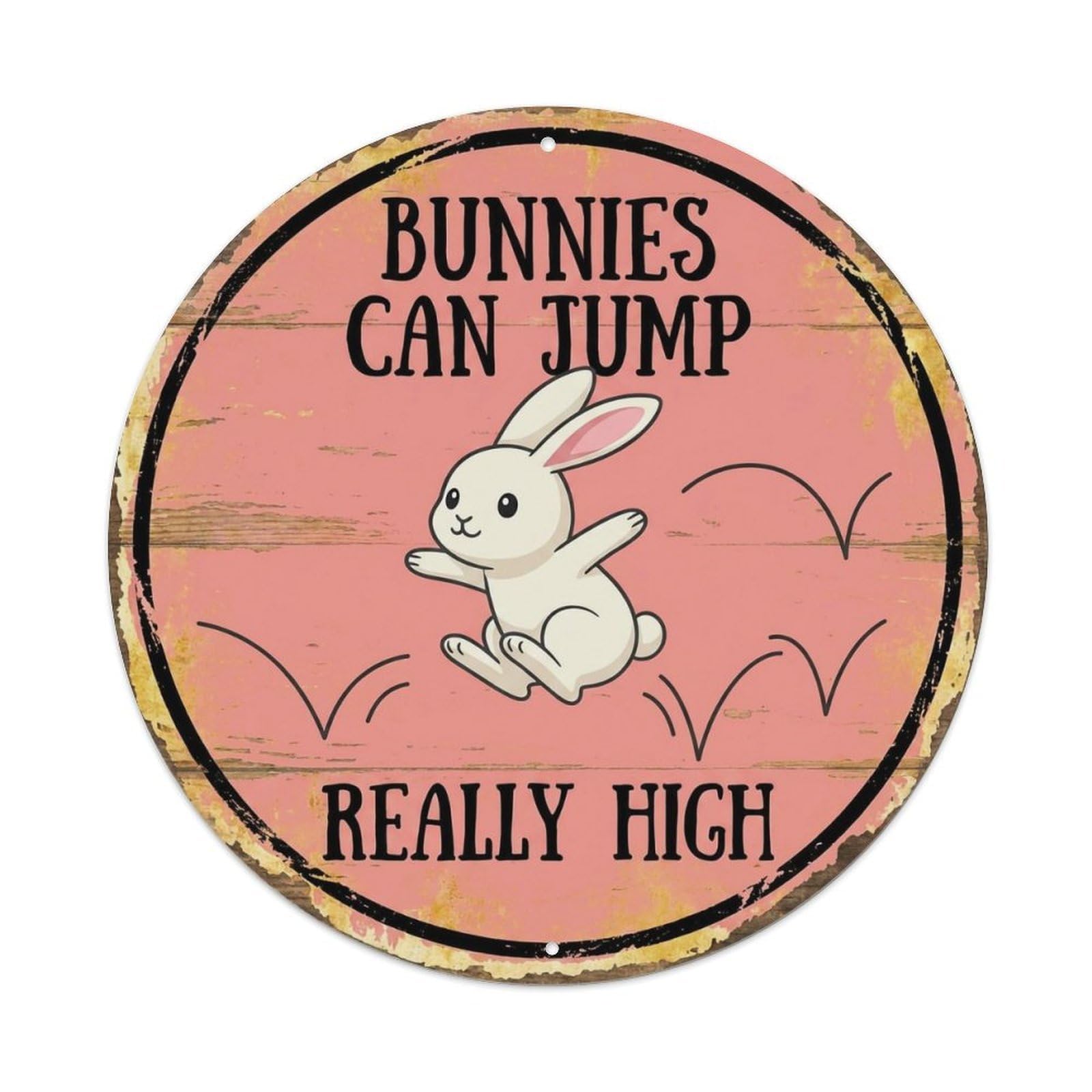 Rabbit Jumping Expert Round Wall Hanging Metal Tin Sign