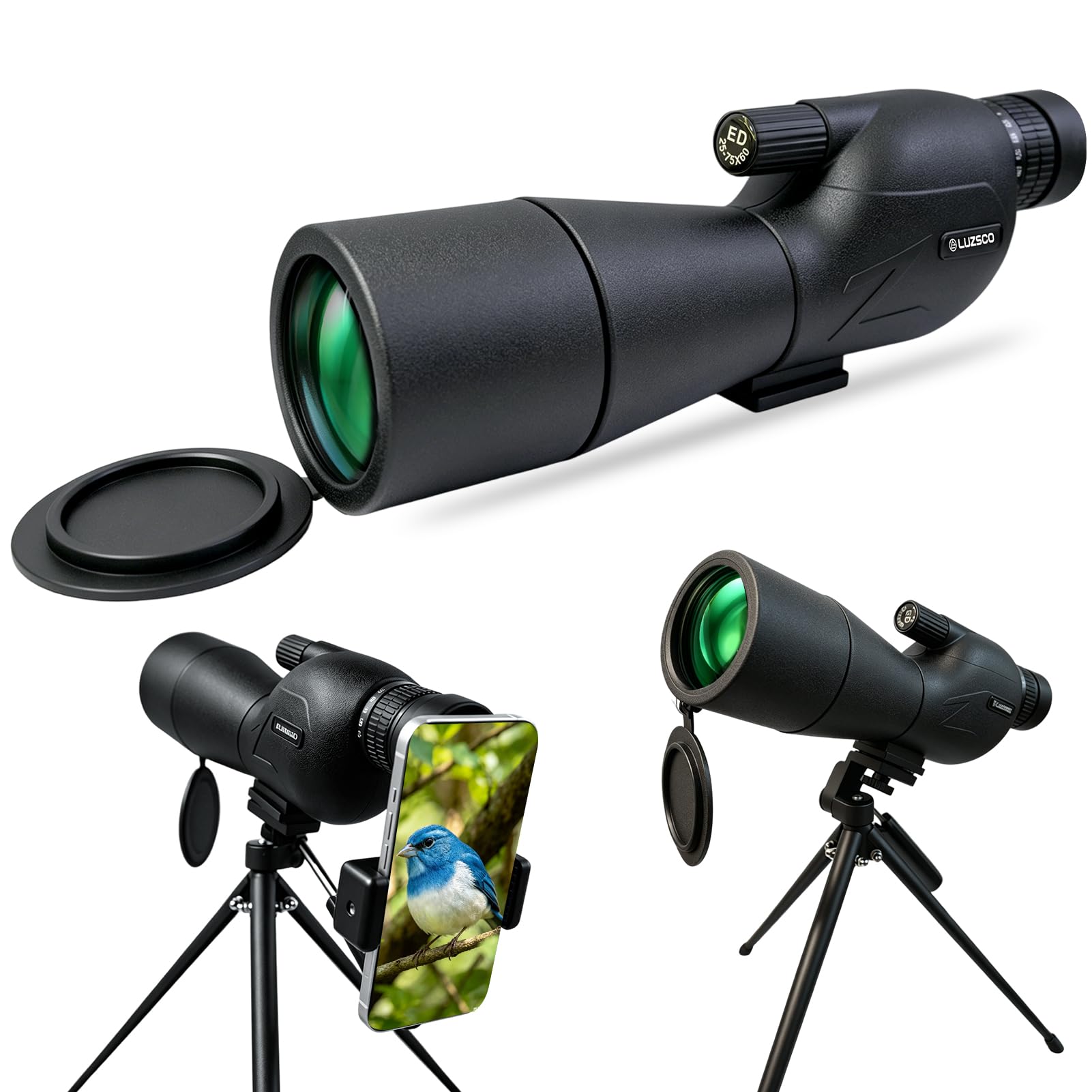 Lunette d'observation des oiseaux légère avec trépied 25-75x60