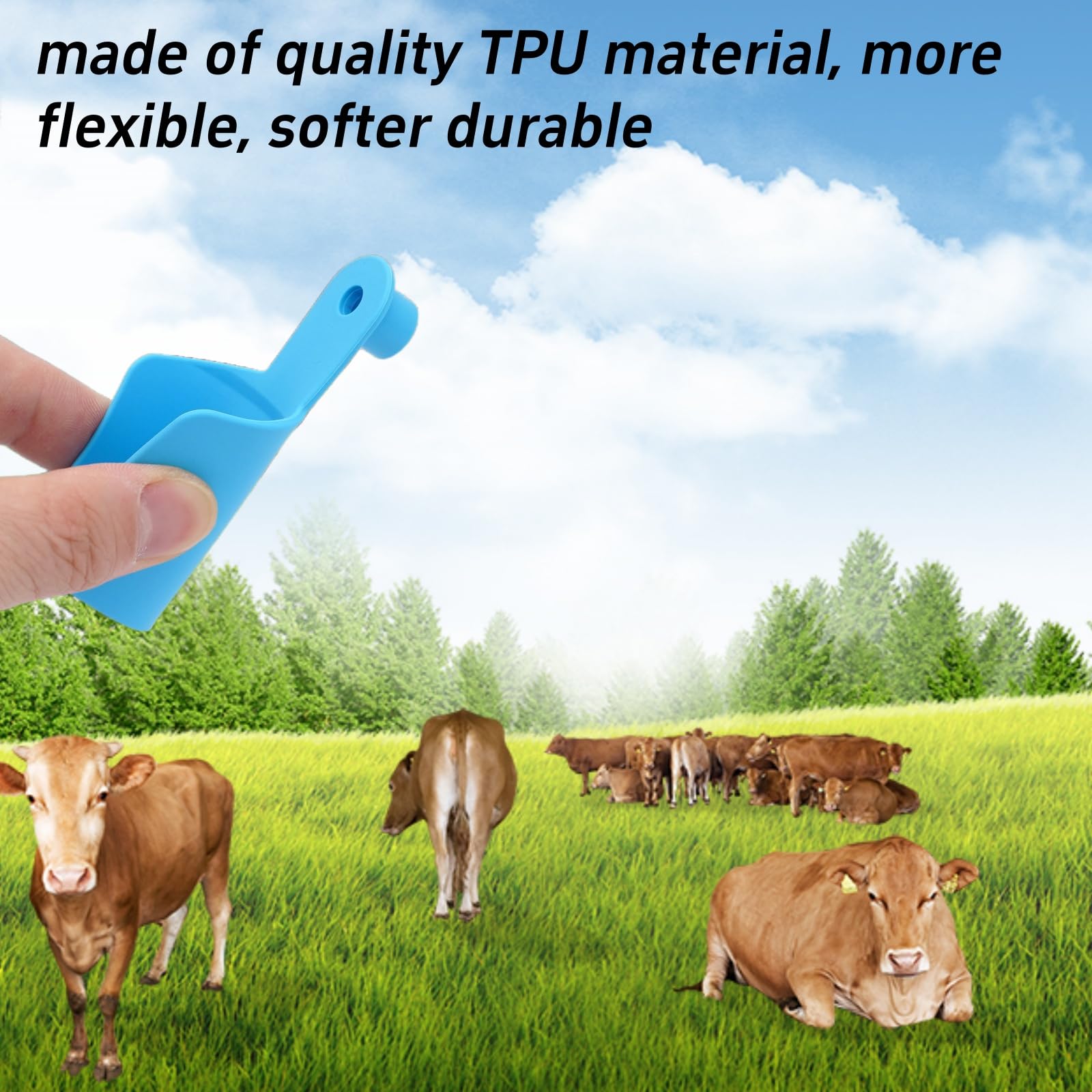 100 Pièces ÉTiquettes D'Oreilles Vierges Etiquettes D'oreille en Plastique pour Animaux Identification du Bétail Étiquettes d'oreille pour Moutons Chèvres Vaches Bovins Porcs Ferme (Bleu)
