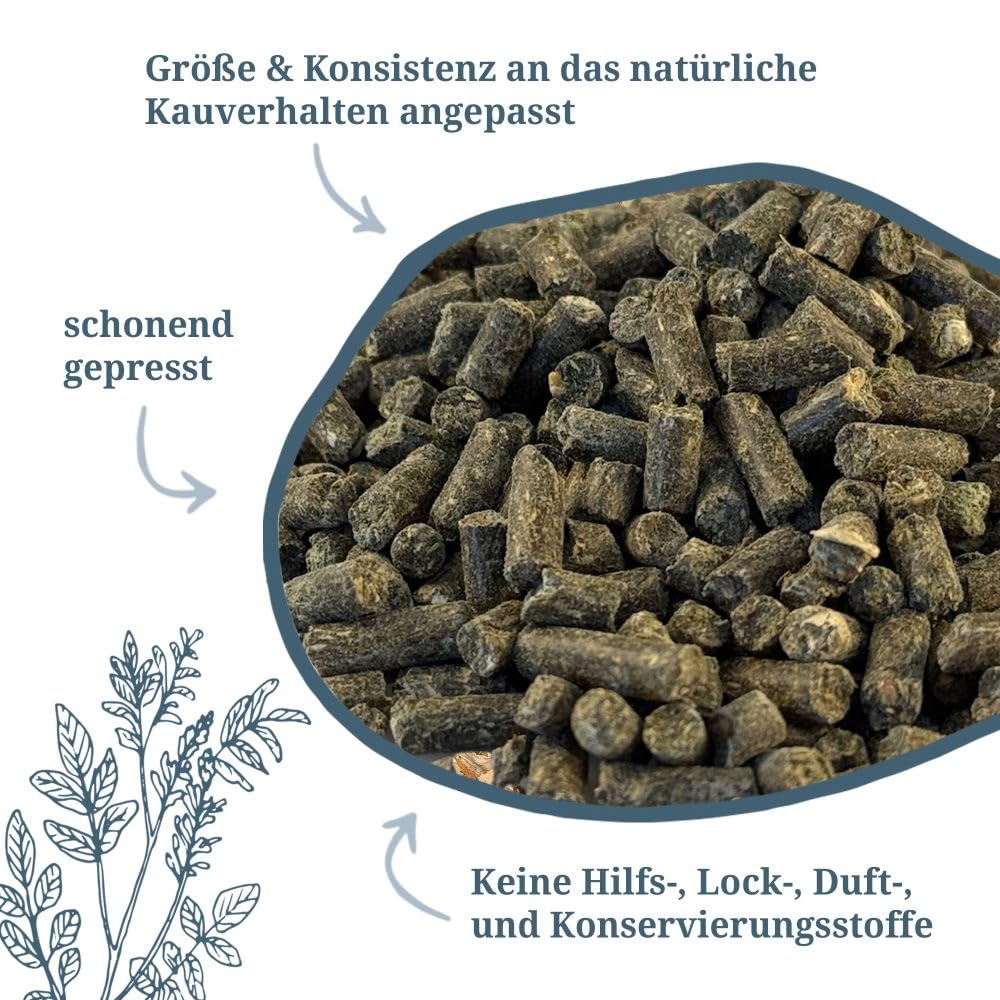 Krauterie Wilde Wiese Mineral - Heufütterung für Pferde (6500g) | mineralisiertes und vitaminisiertes Ergänzungsfutter für Pferde in Spitzenqualität - getreidefrei, zuckerfrei, melassefrei