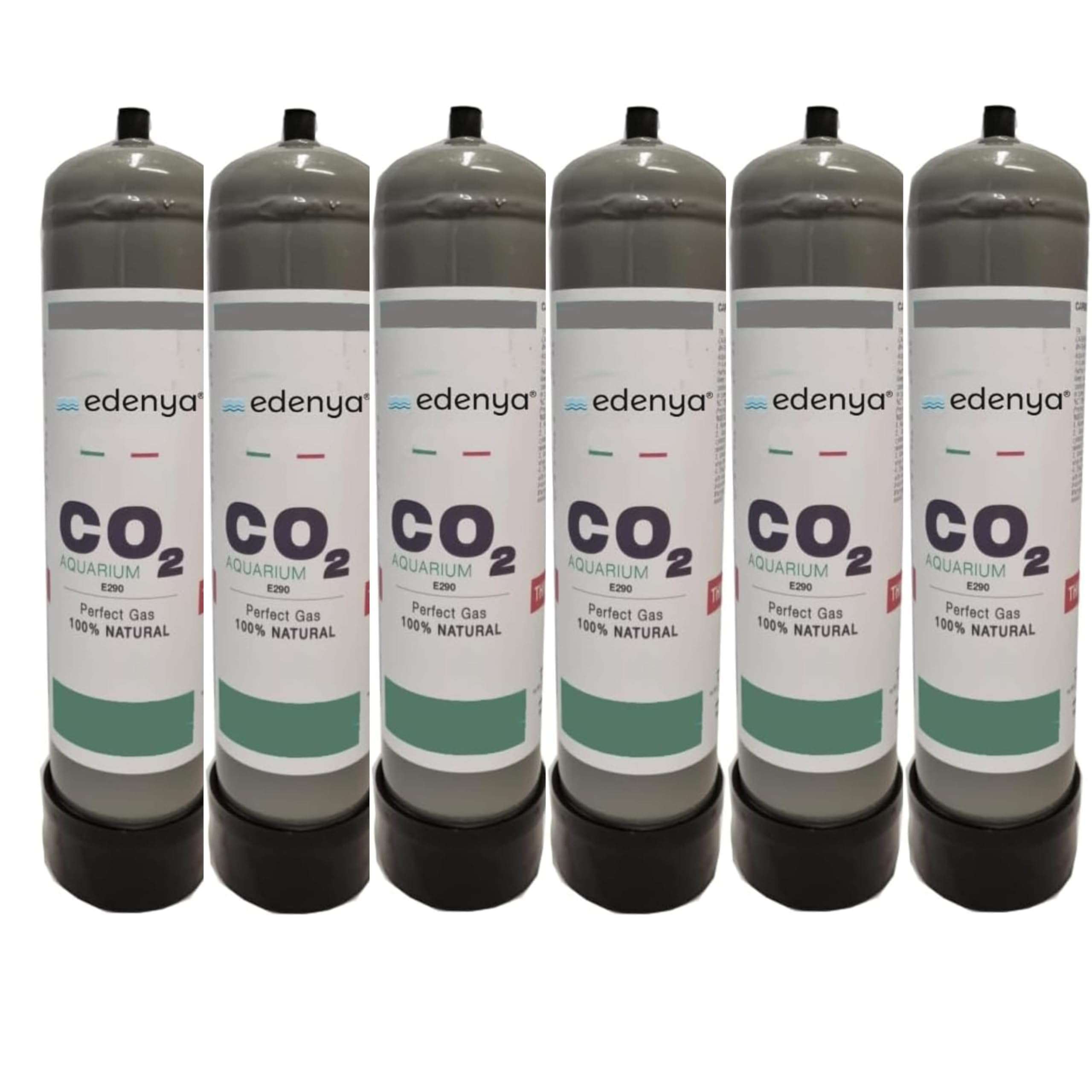 TermoidraulicaRV® 6 Bouteilles CO2 jetables 600 g pour aquariums avec raccord M10 x 1