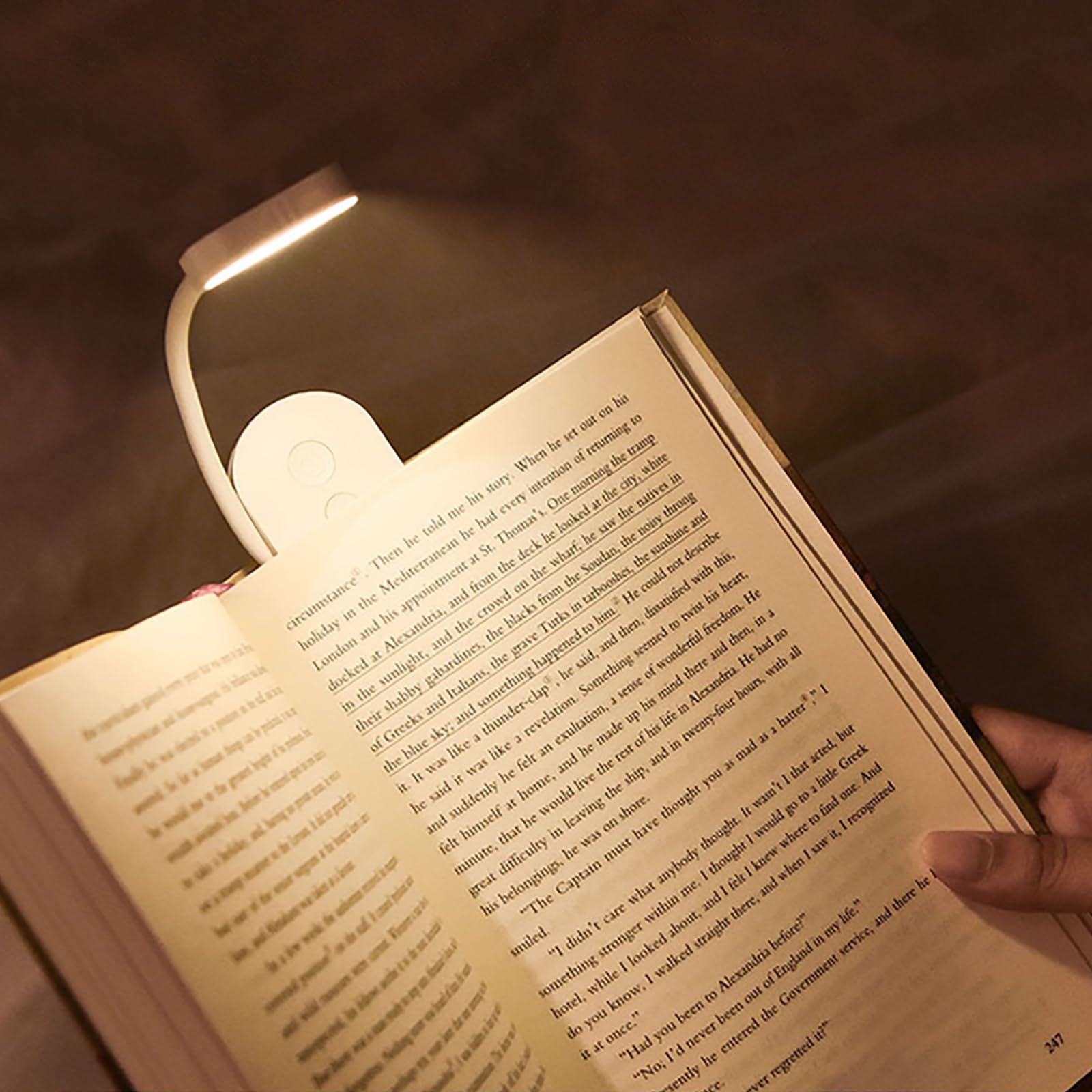 Choudao Tech Portable LED Reading Lights, Eye Caring 3 Color Temperatures and Dimming Brightness Book Lights, Lightweight USB Rechargeable Clip-On Lamp for Book Lovers Night Reading (White)