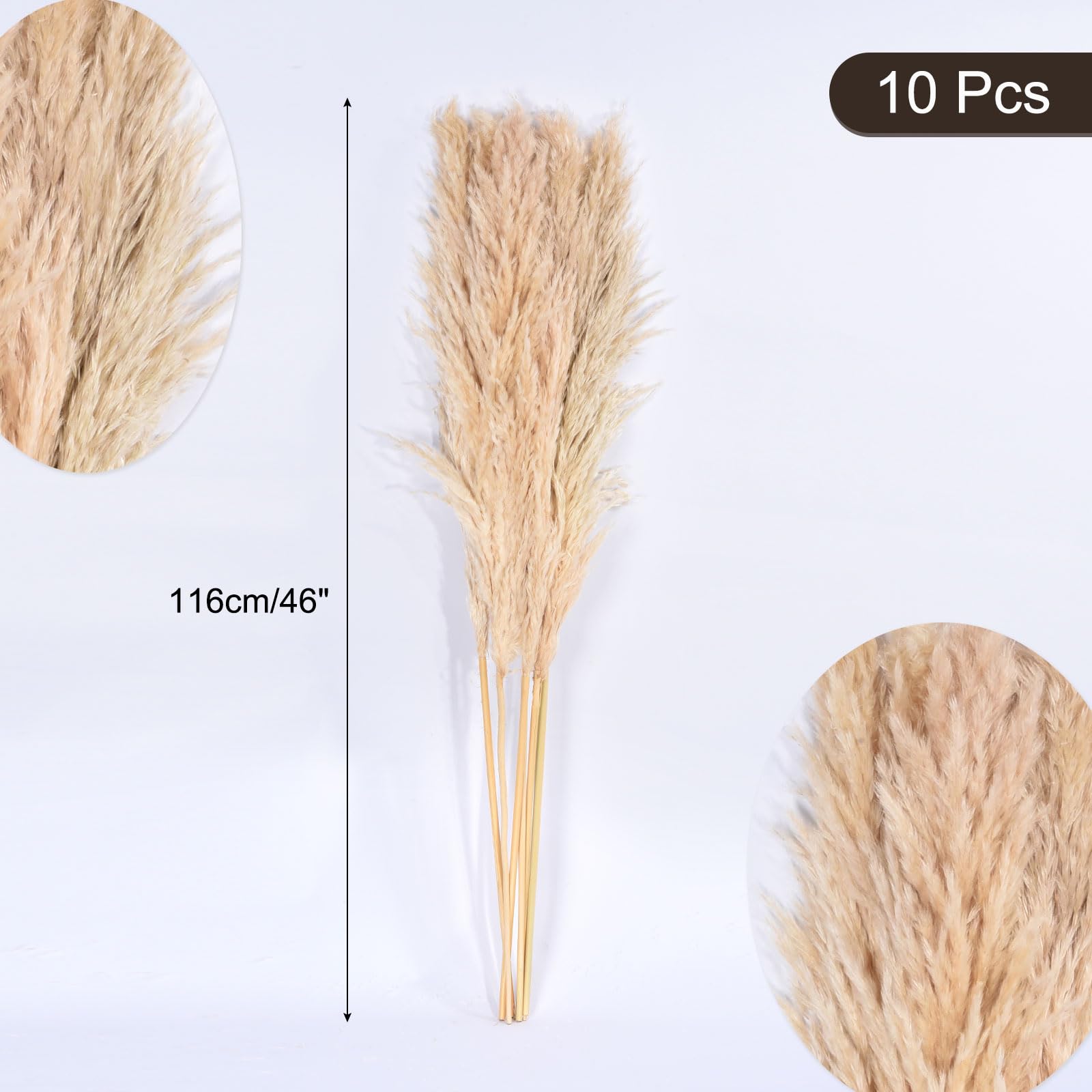 QUARKZMAN 10 Tiges ornementation Herbe De La Pampa Grandes, 46 Pouces Grandes Herbes De La Pampa Artificielles Moelleuses Fleurs Séchées pour ornementation Maison Ferme Mariage, Beige