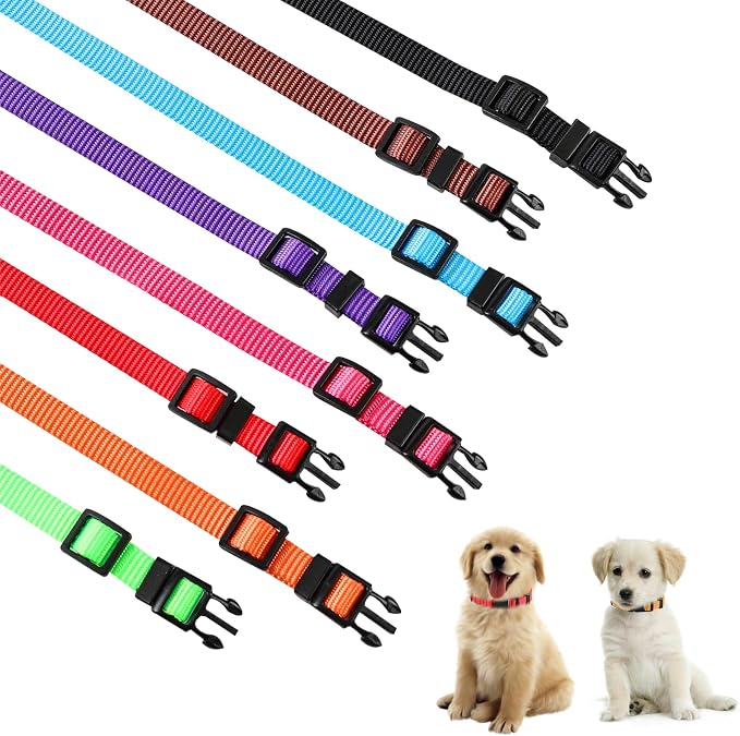 Collares de identificación para cachorros paquete x8 Nylon ajustable miniatura 4