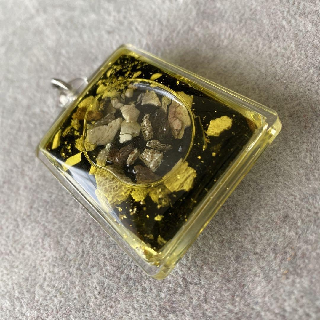 Amazon.co.jp: プラクルアン タキアン マハサネー ムカデ 金運