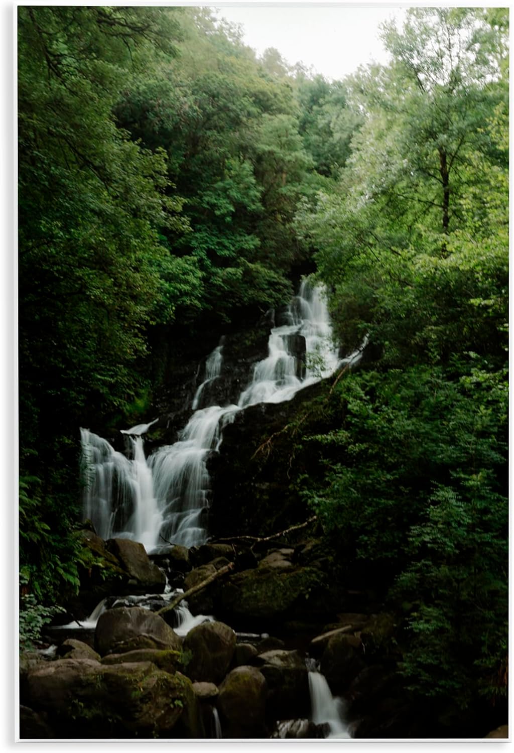 Stupell Industries Cascading Waterfall in Forest Wall Plaque Art, design by Jade Sharp Photo, 15 x 10