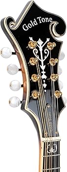 Amazon.com: Gold Tone GM-70 F-Style Mandolin (Two Tone Tobacco