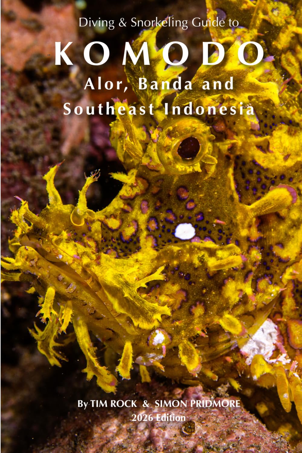 Diving & Snorkeling Guide to Komodo, Alor, Banda and Southeast Indonesia