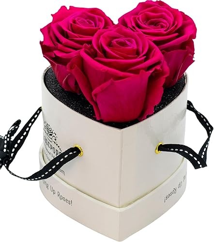 Tres rosas reales preservadas emergentes, tres flores perfumadas duran un año o más, caja con forma de corazón de cocodrilo blanco (rosas de ponche