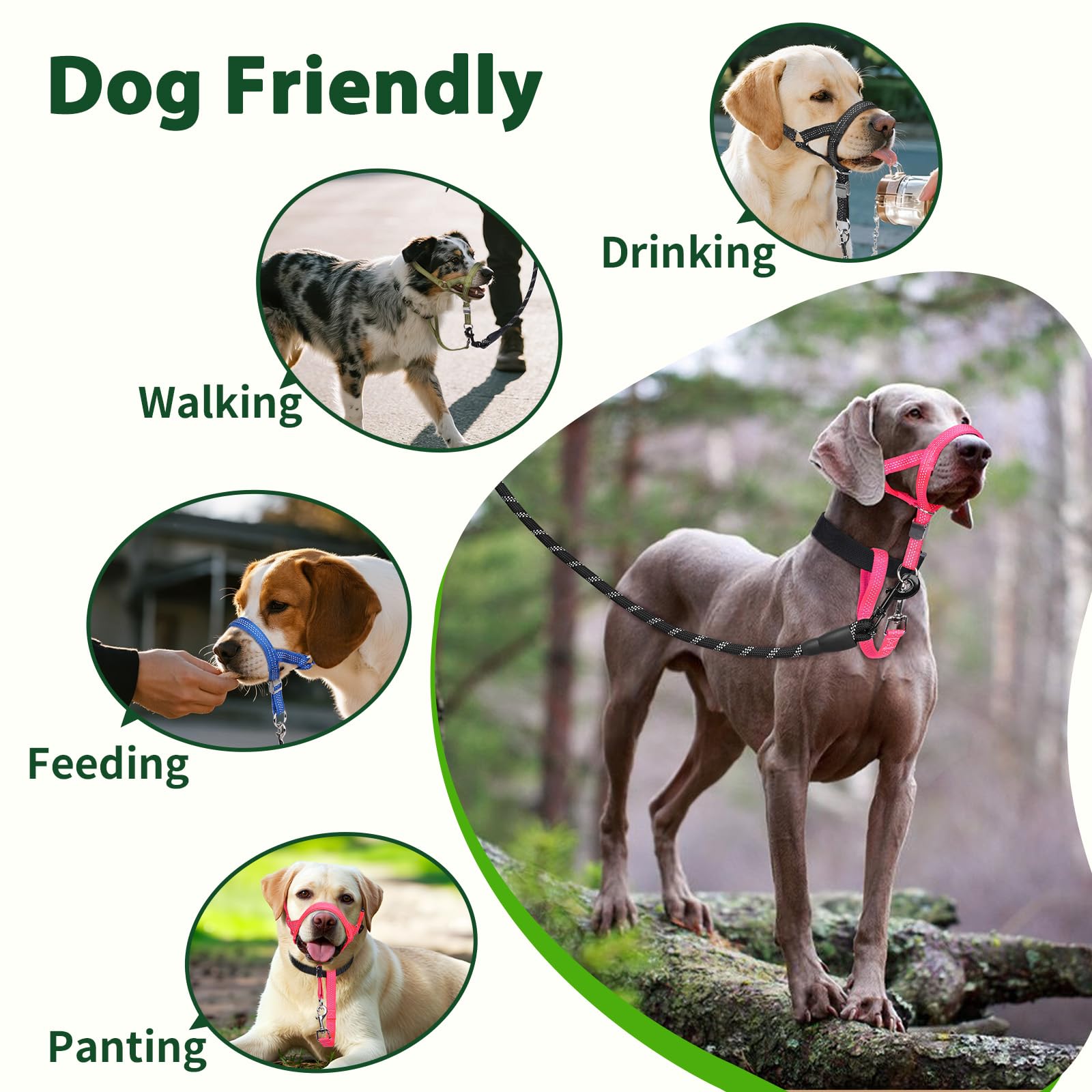 BARKLESS Sturdy No Pull Head Collar for Medium Large Dogs, Gentle Reflective Head Halter with Safety Link, Adjustable Nylon Dog Training Muzzle Leash for Walking Control (Green, L) - image 7