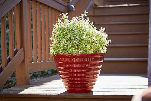 Miniatura 2 de Southern Patio Maceta de interior Beehive de 16" con platillo adjunto, 20.08 cuartos de galón de capacidad