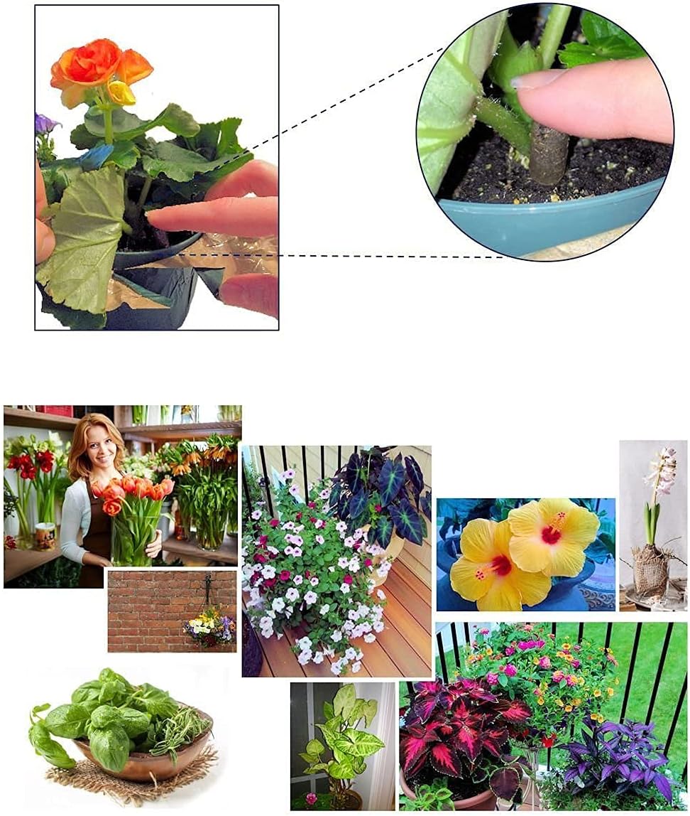 100 EarthPods - Bio Organic Plant Starter Fertilizer Spikes – Special Plant Food Formulated to Jump Start Roots for New Plantings – Prevent Transplant Shock - Made in USA