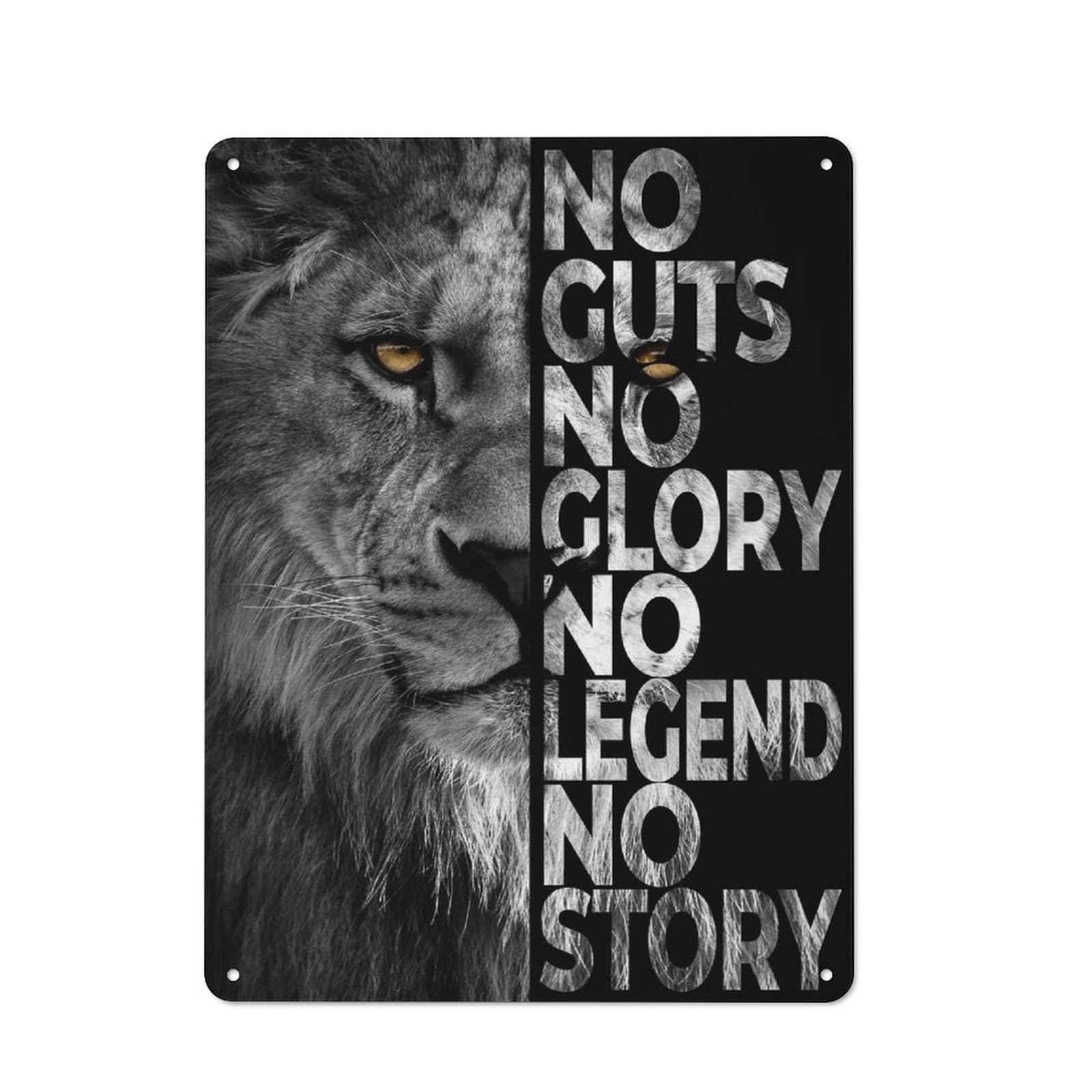 Tin Wall Plaque 40x30cm with No Story for Workshop Wall, with Clear Retro Wall Decor Character