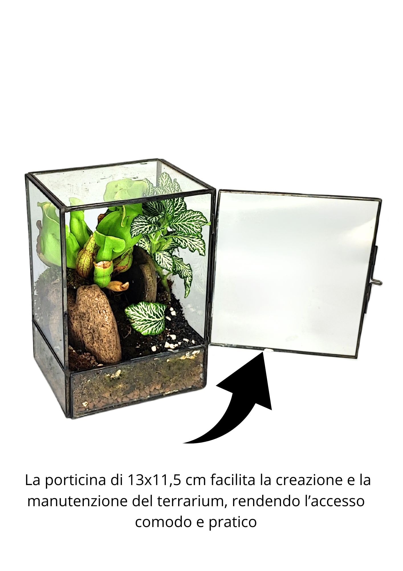 I GIARDINI DI GIULIA - Kit Terrarium DIY | Contenedor Geométrico de Vidrio y Hierro | Incluye 3 Plantas y Sustratos | Ideal para Diseño de Interiores, Negro y Transparente
