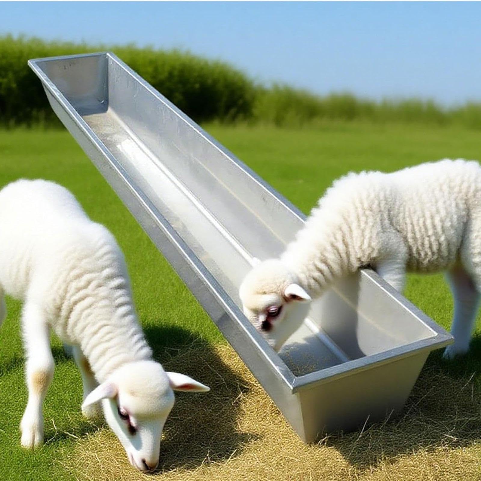 Mangiatoia per capre in Acciaio Inox, Grande capacità, Resistente, per Bestiame, abbeveratoio per Alpaca, maiali, Cervi, capre, Mucche